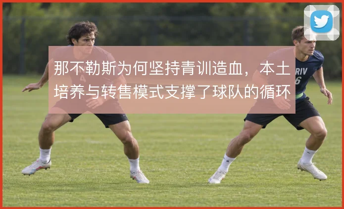那不勒斯为何坚持青训造血,本土培养与转售模式支撑了球队的循环竞争力