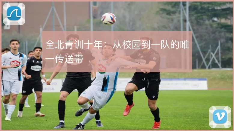 全北青训十年:从校园到一队的唯一传送带