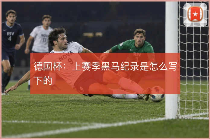 德国杯:上赛季黑马纪录是怎么写下的